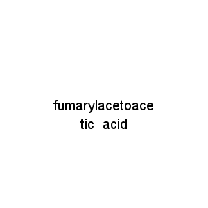 fumarylacetoacetic  acid